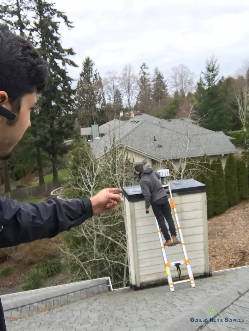 Gas fireplace logs and glass front inspection — Renton