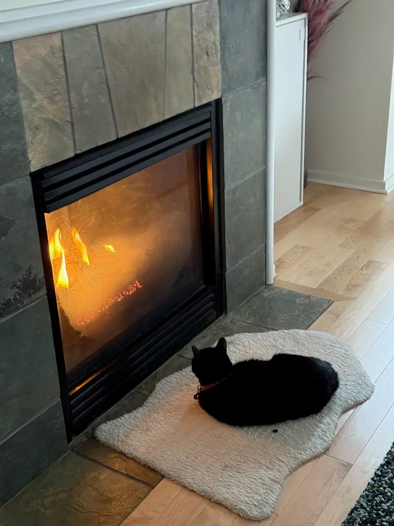 Gas fireplace repair service in Tacoma home