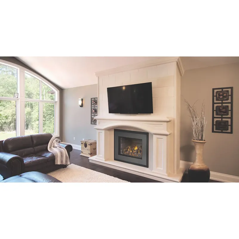 Napoleon gas fireplace insert — serviced by Genesis Home Services Seattle